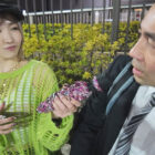 【画像＆動画】 マジ？これ現実？夢みたいに何度も何度も暴発してチソポMEGAハイ状態！時間軸が狂う∞射精快感ゾーンに突入させる鬼焦らし生ハメルーインドオーガズム 春陽モカ